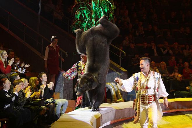Леопарды под куполом цирка: премьера шоу &laquo;Баронеты&raquo; (ФОТО) - фото 41