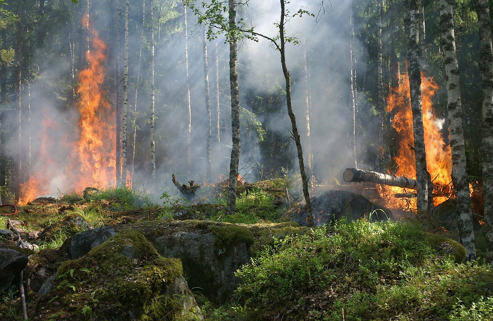 Пятый класс пожароопасности сохраняется на юге Нижегородской области