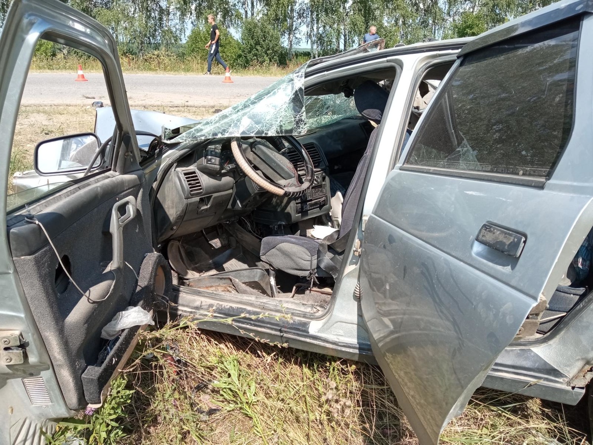 Смертельная авария в Вадском районе произошла по вине пьяного водителя - фото 1