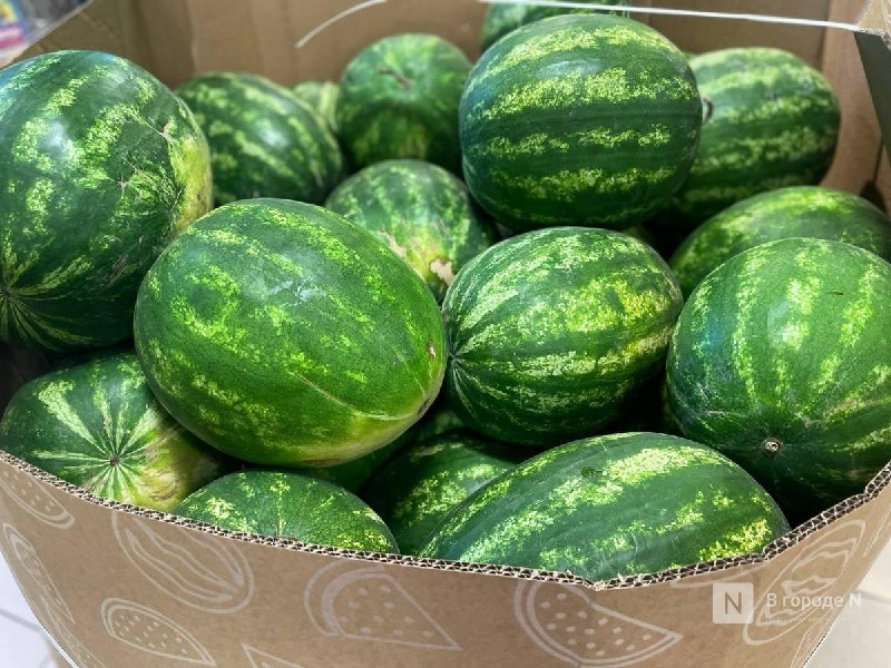 Арбузы в Нижнем Новгороде: как их купить и не отравиться - фото 1