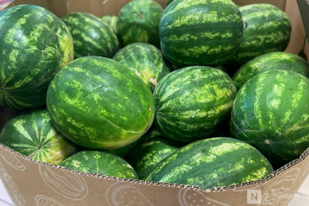 Арбузы в Нижнем Новгороде: как их купить и не отравиться