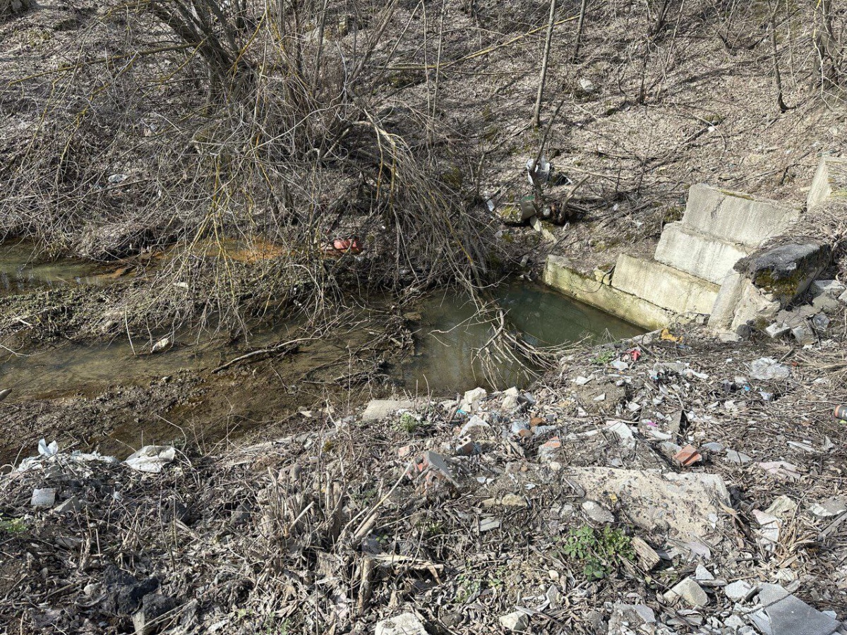 Горы мусора обнаружили у Кузнечихинского ручья в Нижнем Новгороде - фото 1