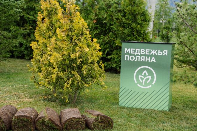 Как бизнес-тур в зеленый питомник объединил застройщиков и стал творческой площадкой: фоторепортаж - фото 81