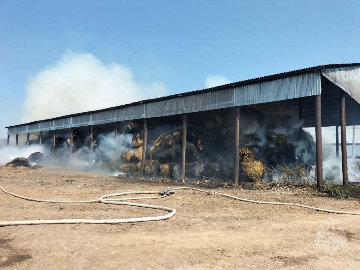 Одиннадцать пожаров произошло в Нижегородской области за сутки - фото 1