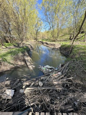 Нижегородский депутат Гриневич обеспокоена состоянием малых рек - фото 4