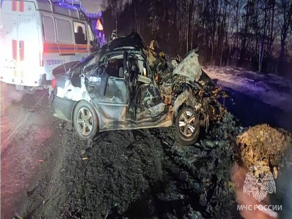 Смертельная авария произошла в Кстовском районе 23 января  - фото 1