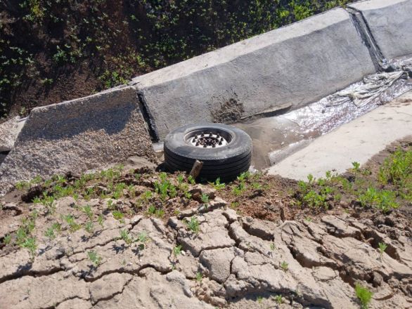 Опубликованы фото с места смертельного ДТП на М-12 в Нижегородской области  - фото 2