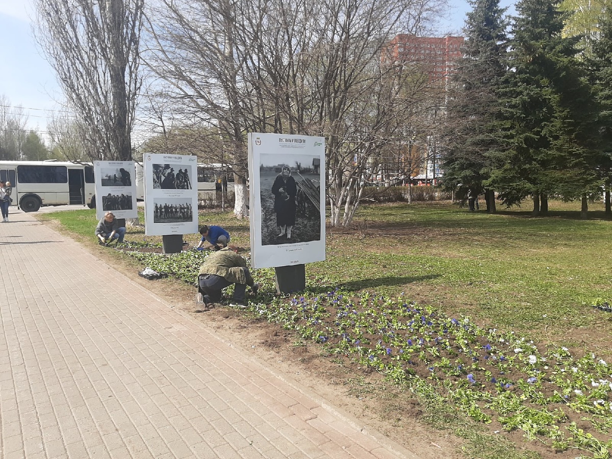  Более 95 тысяч цветов высадят в Приокском районе - фото 1