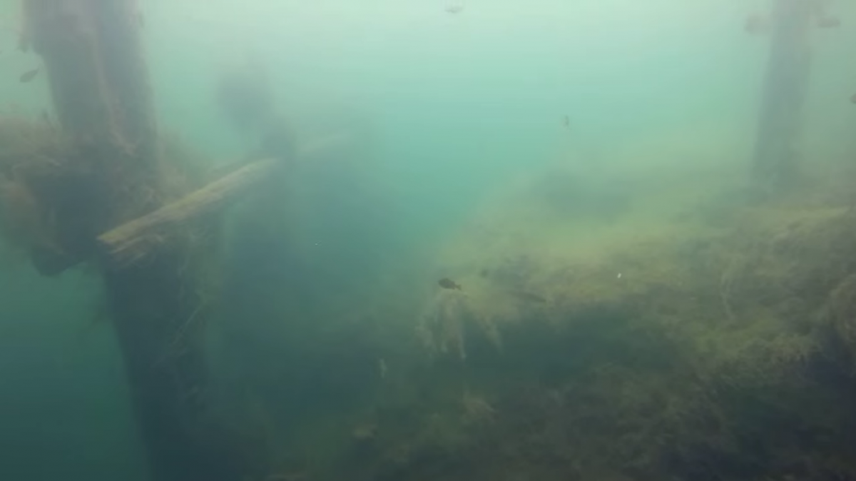 Деревянный мост и пещеры нашли дайверы на дне нижегородского озера - фото 2