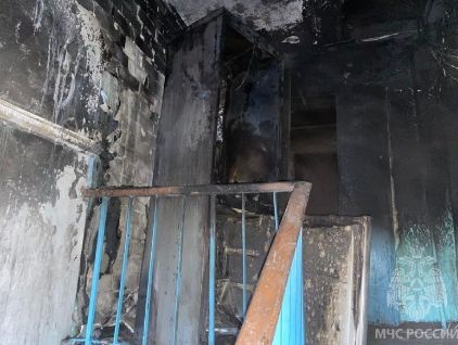 12 человек эвакуировали пожарные из горящего дома на Автозаводе - фото 1