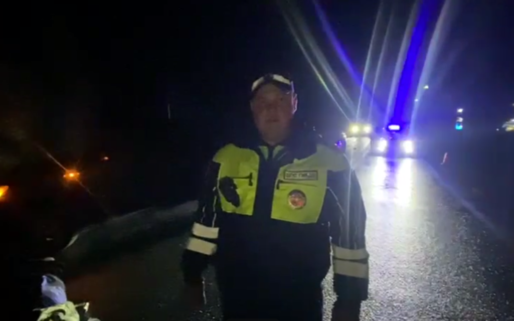 Автомобиль насмерть задавил лежавшего на дороге мужчину под Городцом - фото 1