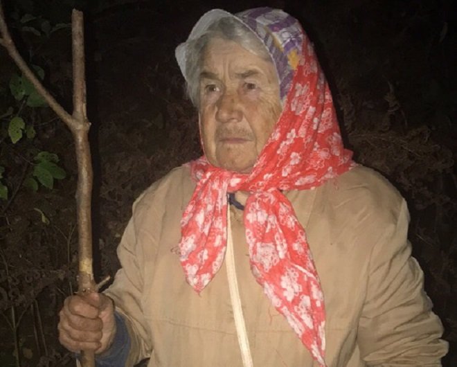 Пожилую женщину спасли из ночного леса в Нижегородской области (ВИДЕО) - фото 1