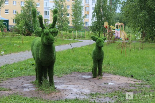 Год под крылом Нижнего Новгорода: как выглядит и чем привлекает Кстово — фоторепортаж - фото 77
