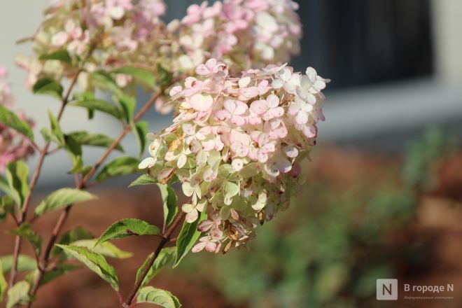 Благоустройство &ndash; 2025: как меняется площадь у Автозаводского универмага в Нижнем Новгороде - фото 43