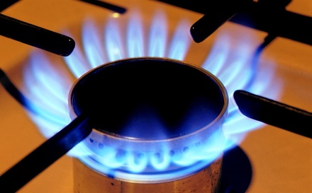 Почти 9% нижегородцев готовы отказаться от бытового газа