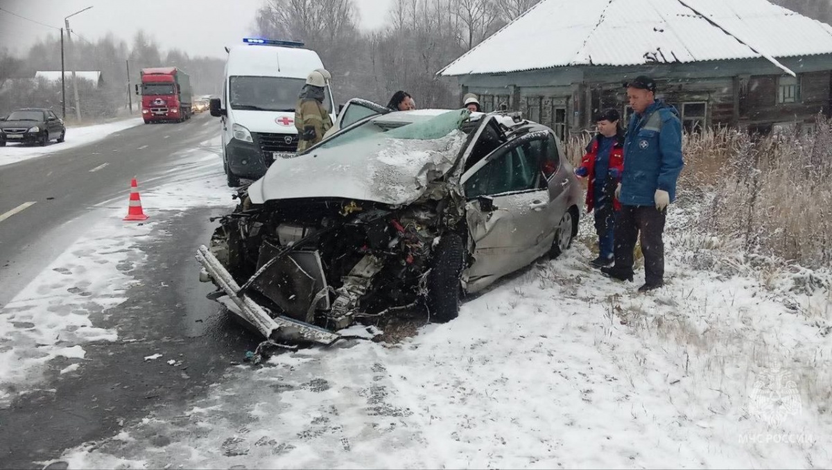 Мужчина погиб в ДТП с фурой в Нижегородской области - фото 1