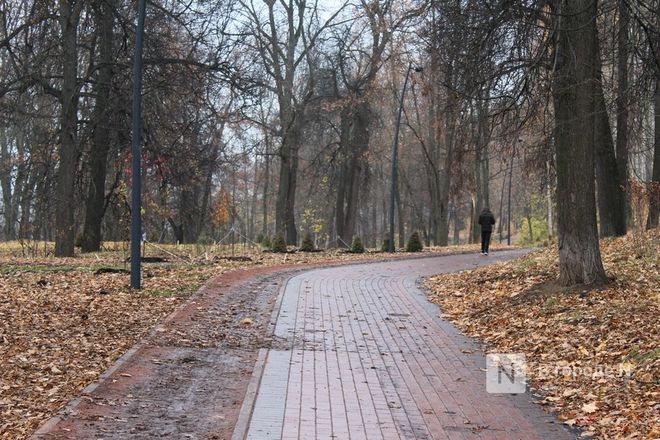 Музыка, прогулки, спорт: как меняется Александровский сад - фото 66