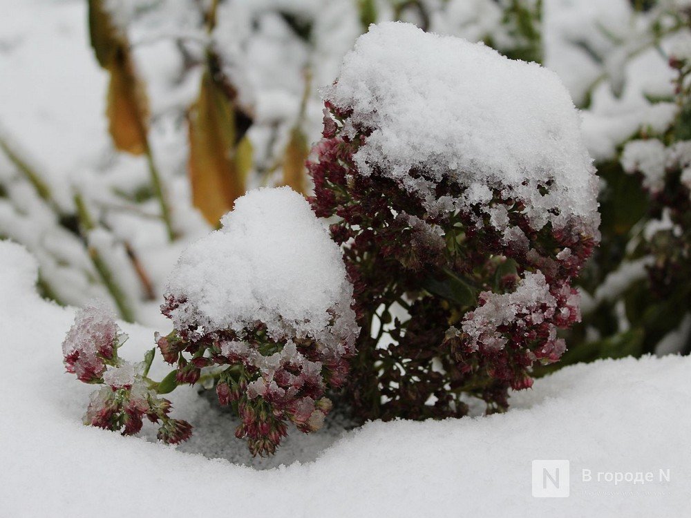 Снегопады и ледяной дождь принесет нижегородцам наступившая неделя - фото 1