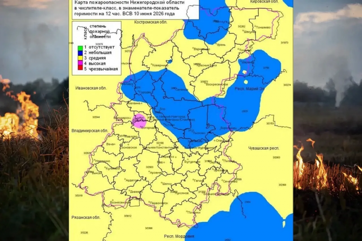 В трех округах Нижегородской области запретили посещать леса - фото 1