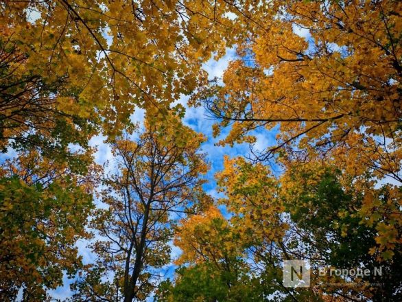 Та самая пушкинская осень: уютный фоторепортаж из Большого Болдина - фото 26
