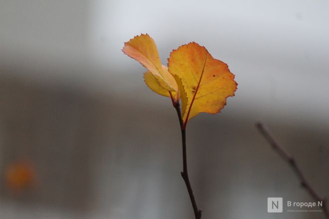 Фоторепортаж: как выглядит и чем поражает квартал 1833 года в Нижнем Новгороде - фото 66