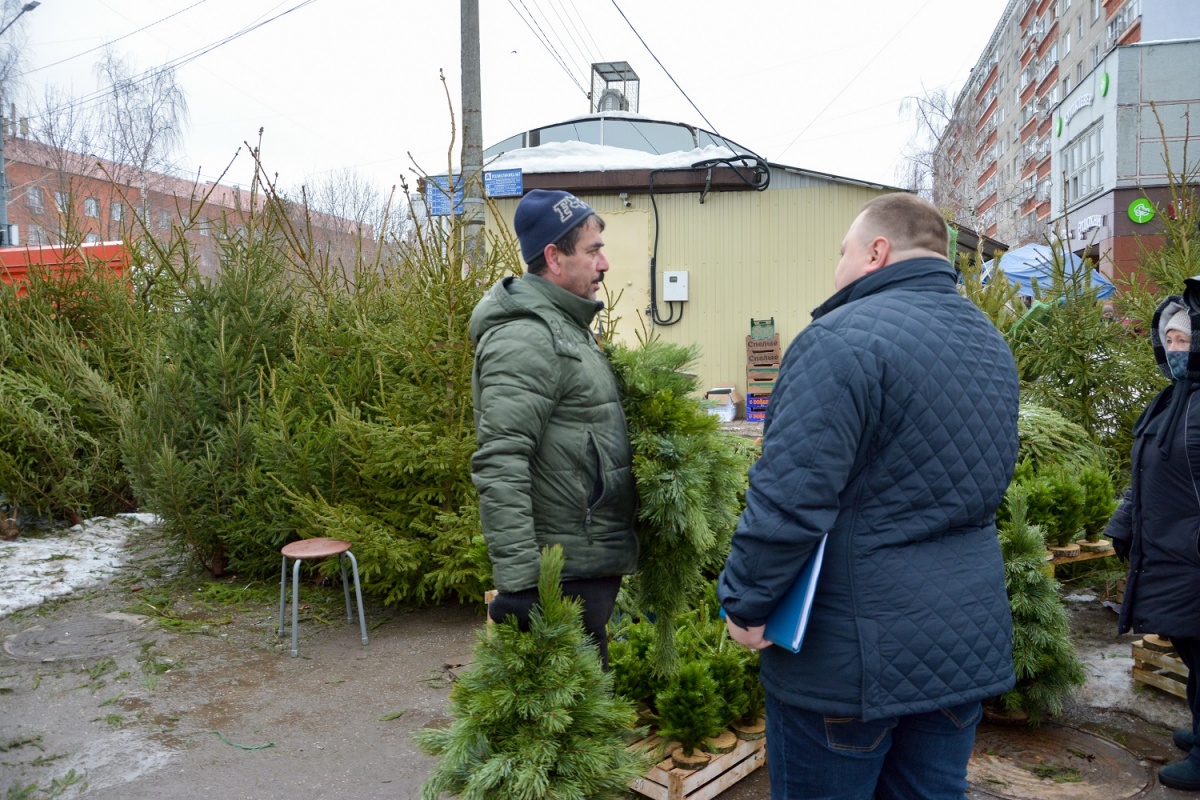 Пять протоколов составили из-за незаконной торговли елками в Нижнем Новгороде - фото 2