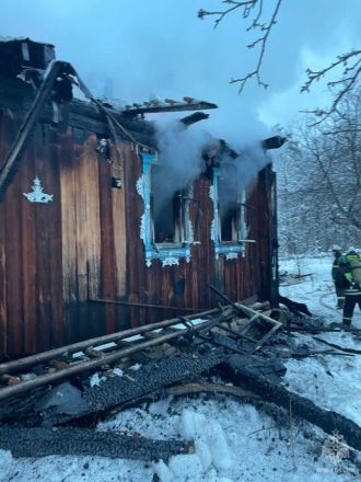 Страшный пожар унес две жизни в Нижегородской области - фото 1