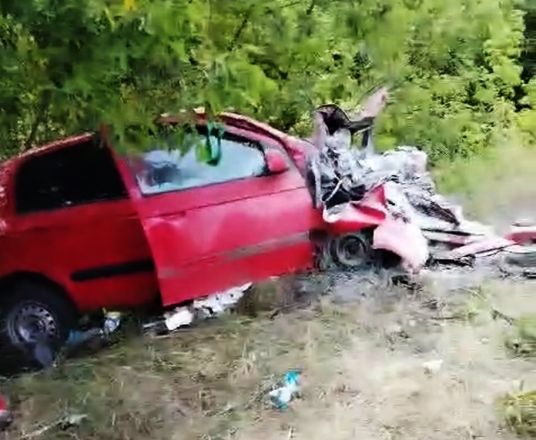 Один человек погиб в страшном ДТП в Сергачском округе - фото 3