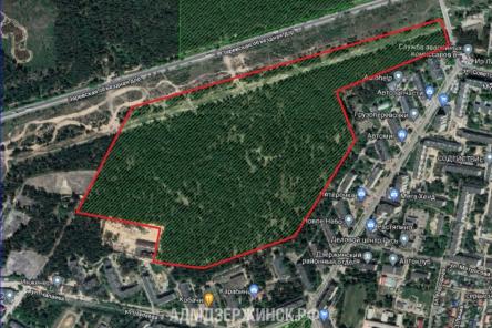 Дзержинцы высказали более 100 предложений по благоустройству лесного массива на улице Молодежной