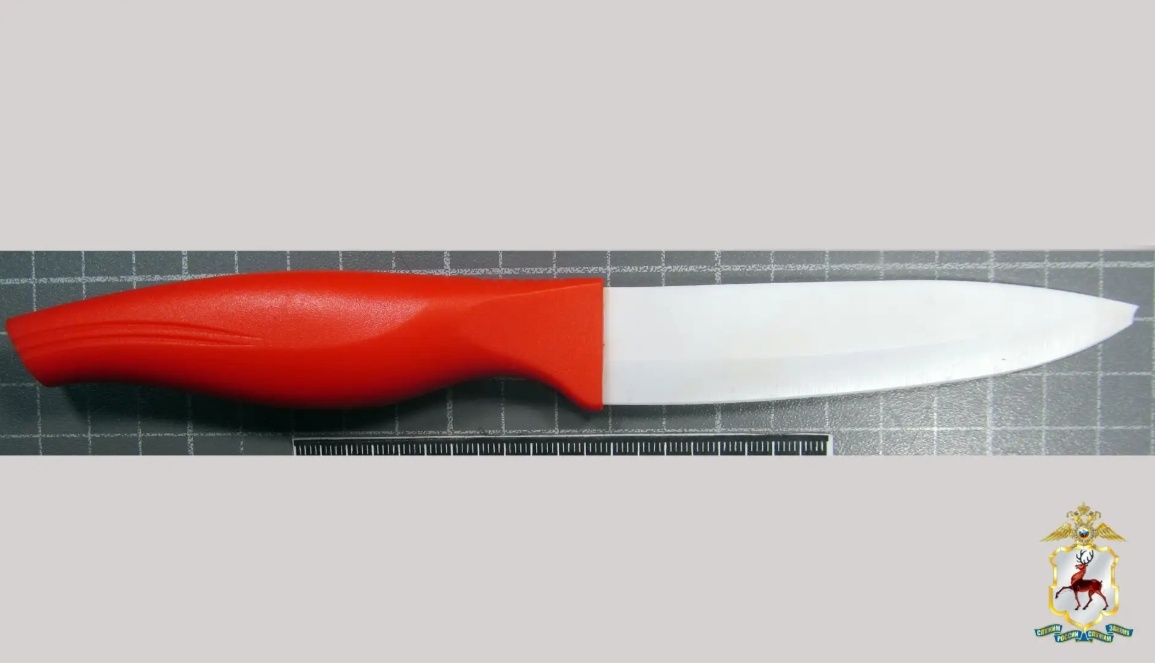 Нижегородец с ножом угрожал убийством сожительнице во время ссоры - фото 1