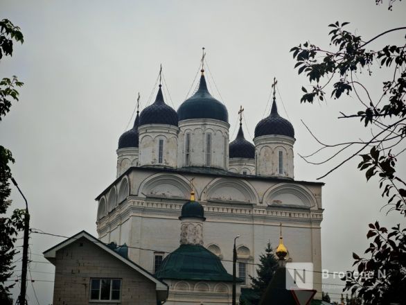 Опубликованы фото старейших каменных церквей Нижегородской области - фото 4