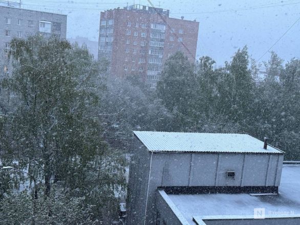 Фото: снежная буря обрушилась на Нижний Новгород 7 мая - фото 14