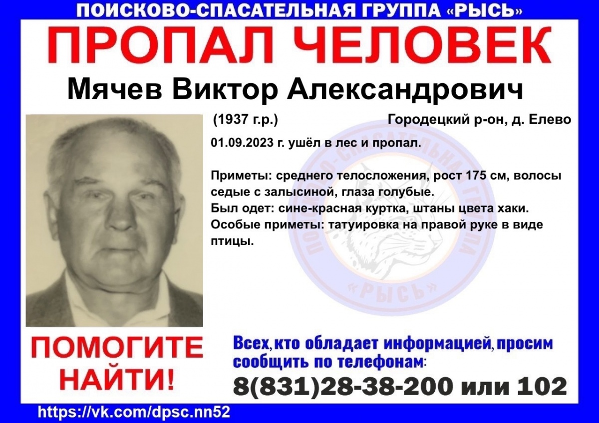 86-летнего мужчину пятый день разыскивают в лесу в Городецком районе - фото 1
