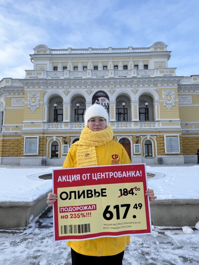 Пикеты против роста цен на продукты прошли в Нижнем Новгороде - фото 1