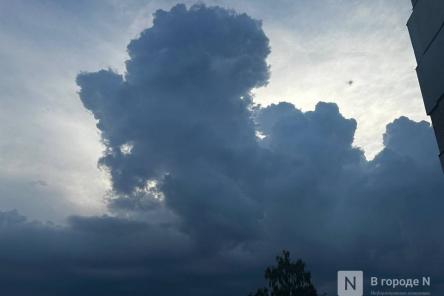 Порывы ветра до 18 м/с ожидаются в Нижегородской области 6 апреля