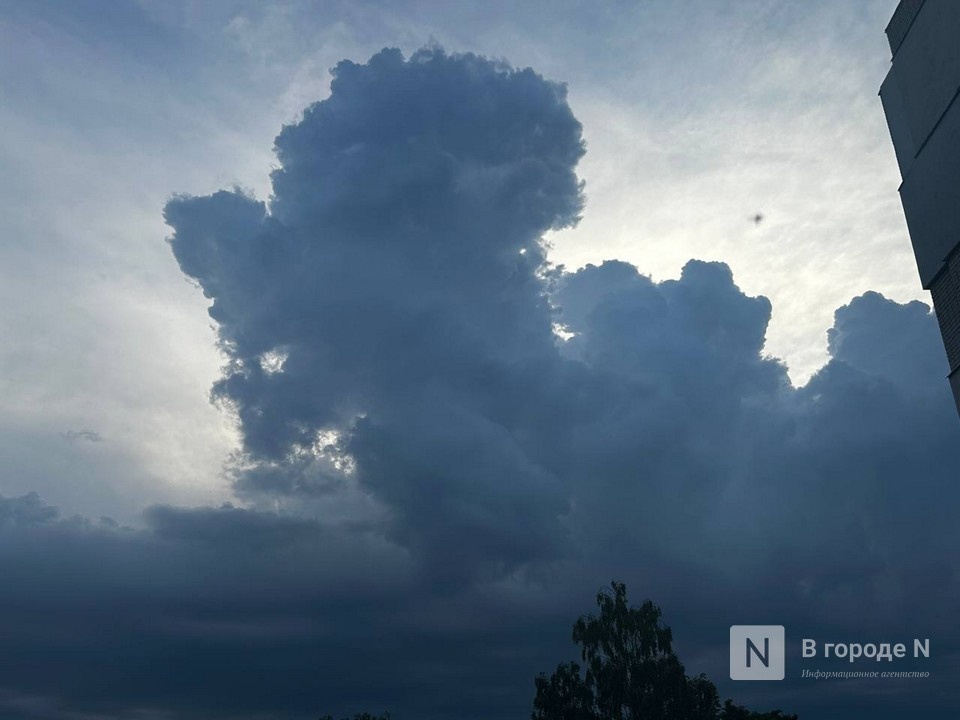 Нижегородцев предупредили о сильном ветре 14 и 15 апреля - фото 1