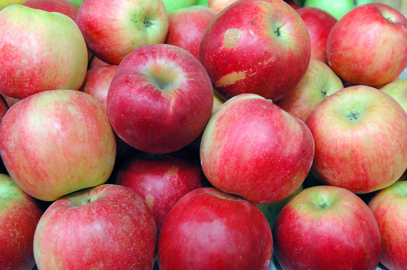 Врачи рассказали, какое количество яблок опасно для здоровья - фото 1