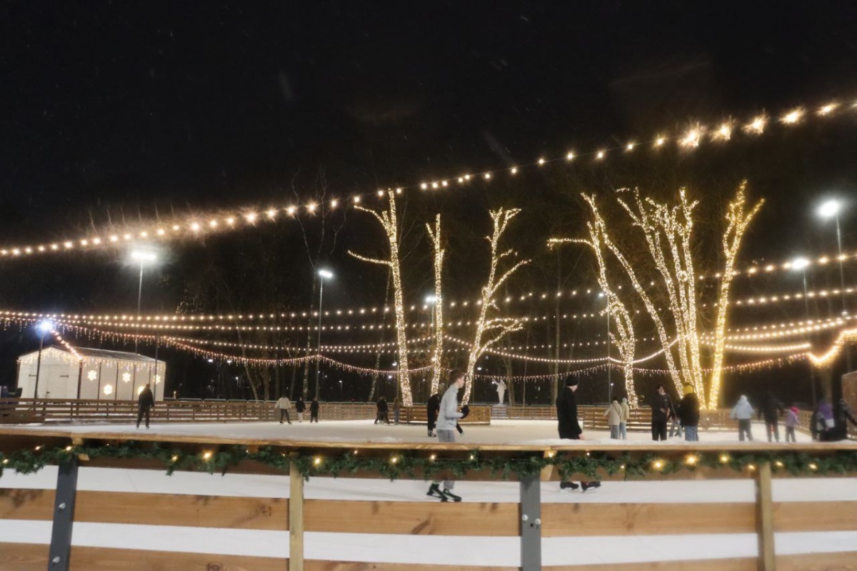 Три катка закрывают в Нижнем Новгороде из-за аномального снегопада - фото 1