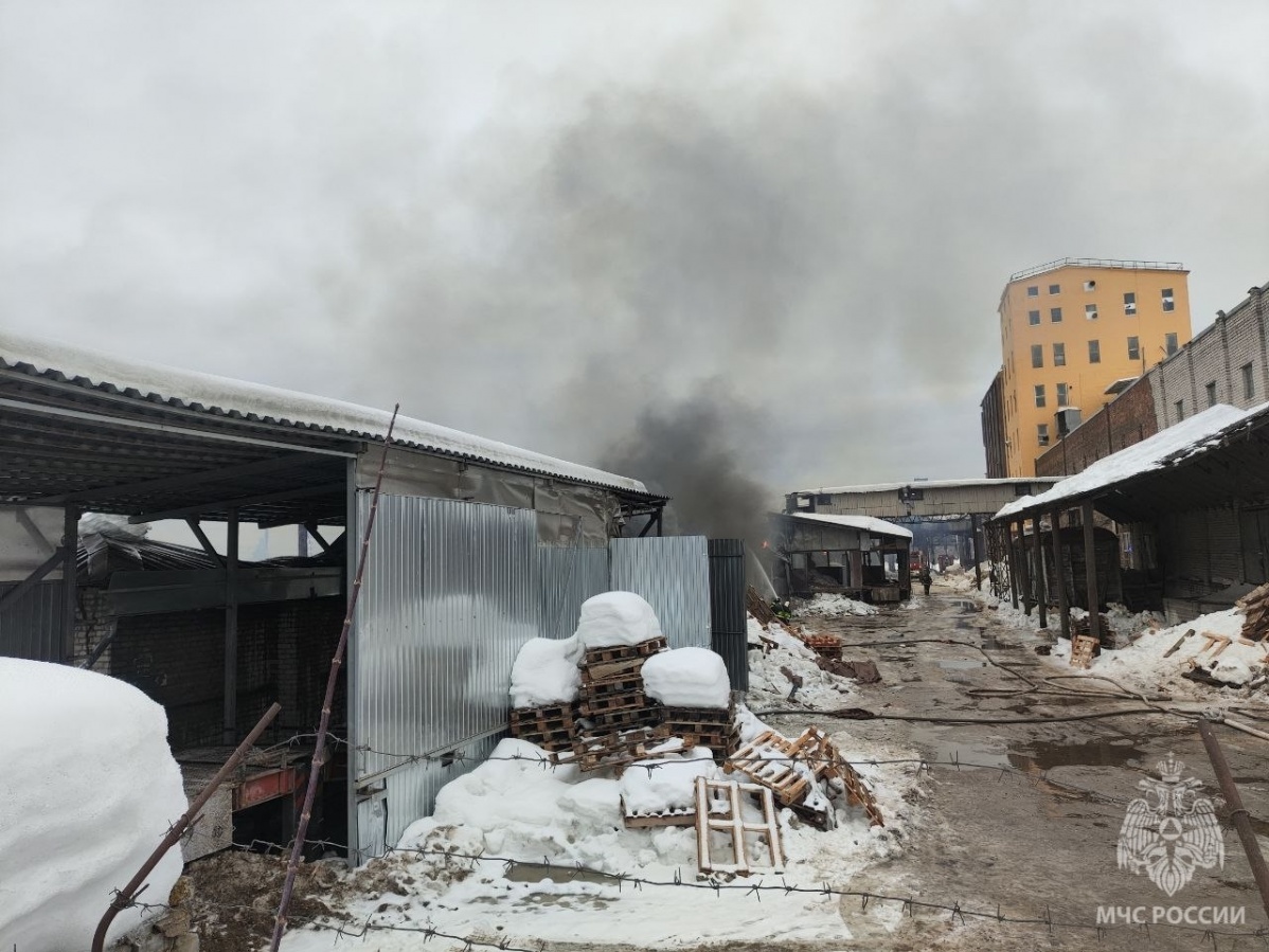 Открытое горение ликвидировано на складах с мукой в Нижегородской области - фото 1