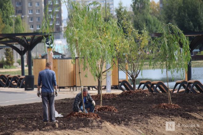Благоустройство за 200 миллионов: смотрим, как меняется парк 777-летия Нижнего Новгорода - фото 176