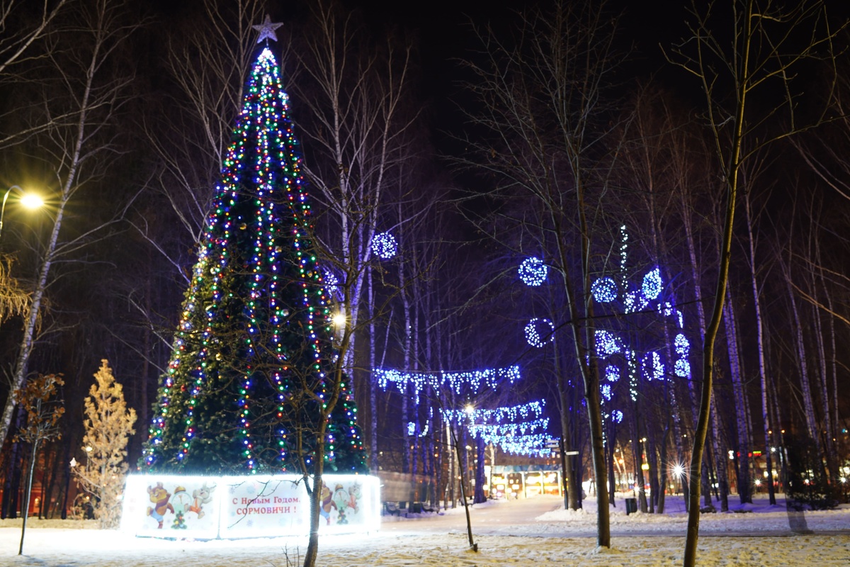 Новогодние елки поставят в благоустроенных скверах в Сормове - фото 1