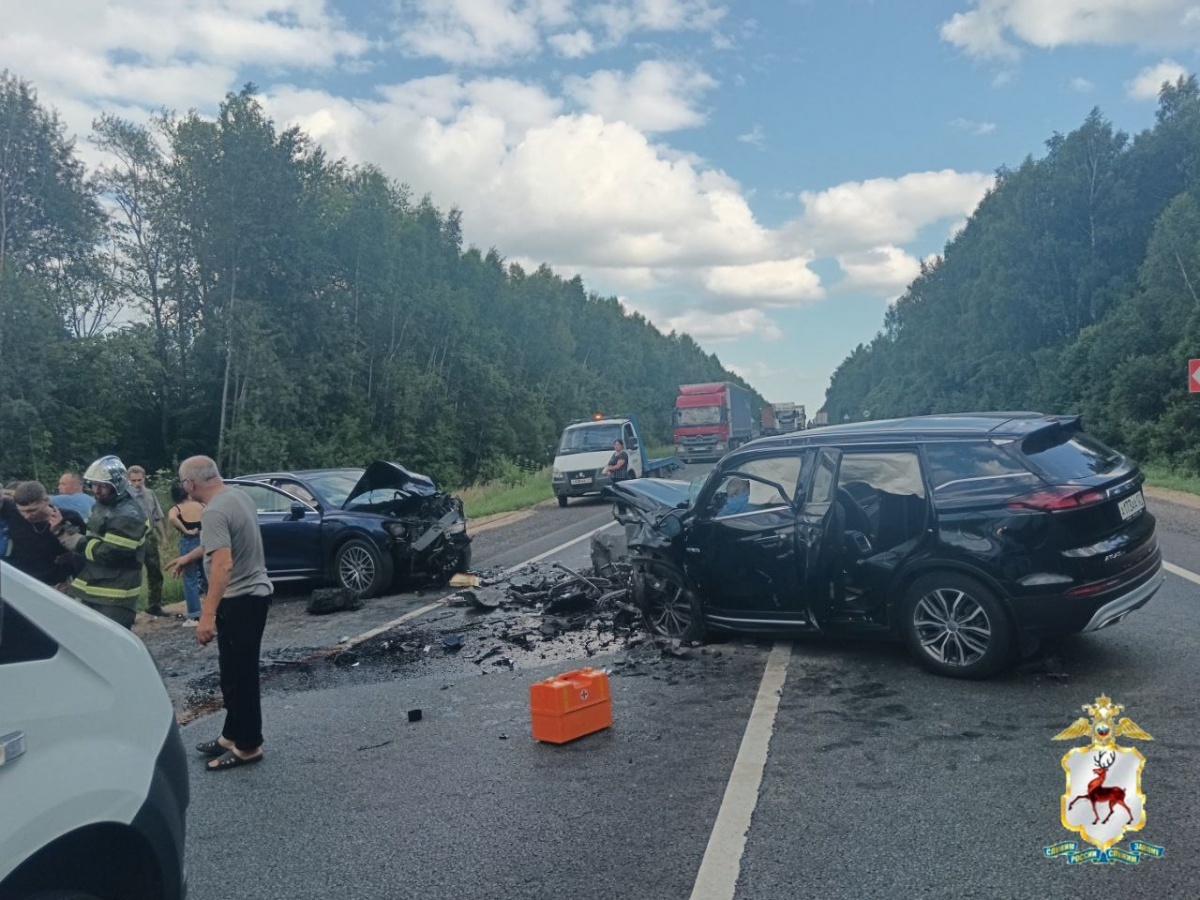 Еще одна чиновница умерла после страшного ДТП в Нижегородской области - фото 1