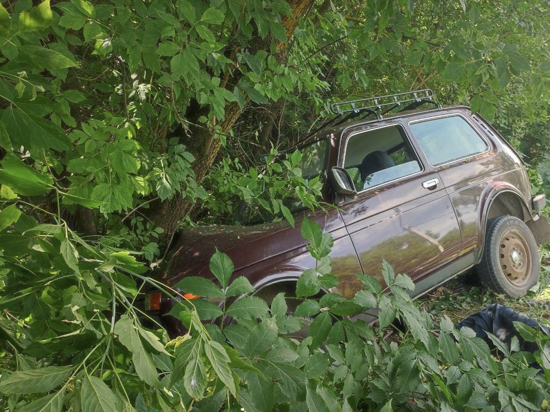 Водитель погиб в ДТП в Нижегородской области: ему стало плохо за рулем - фото 1
