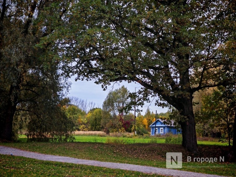 Та самая пушкинская осень: уютный фоторепортаж из Большого Болдина - фото 51