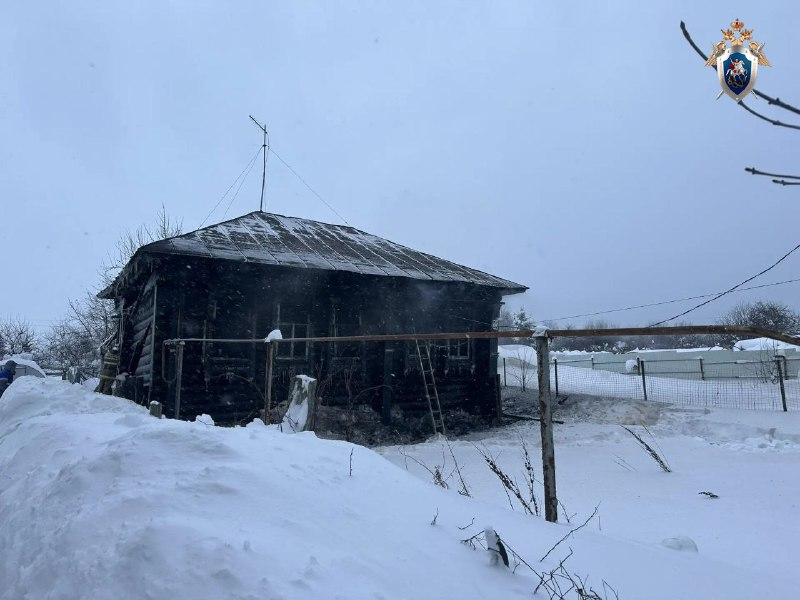 Пожар с погибшими в Нижегородской области закончился уголовным делом - фото 1