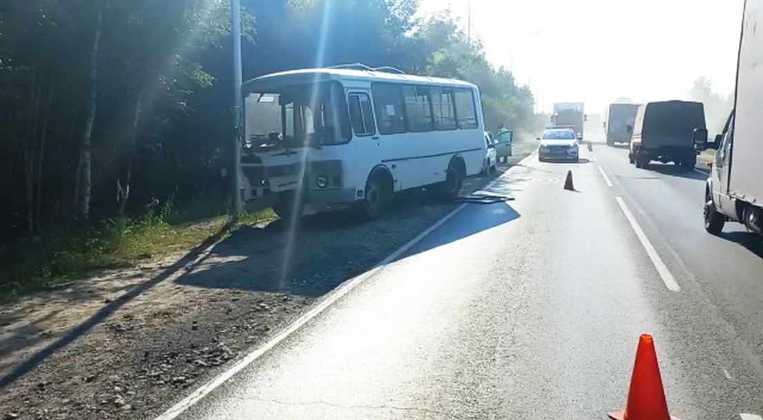 Девять человек пострадали в столкновении автобуса и легковушки в Дзержинске - фото 1