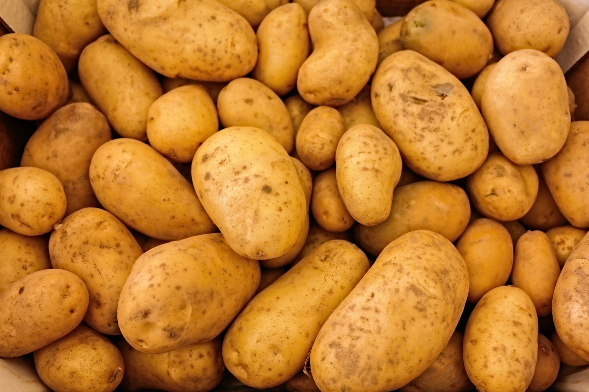 Превышение нитратов выявили в картофеле из Арзамасского района