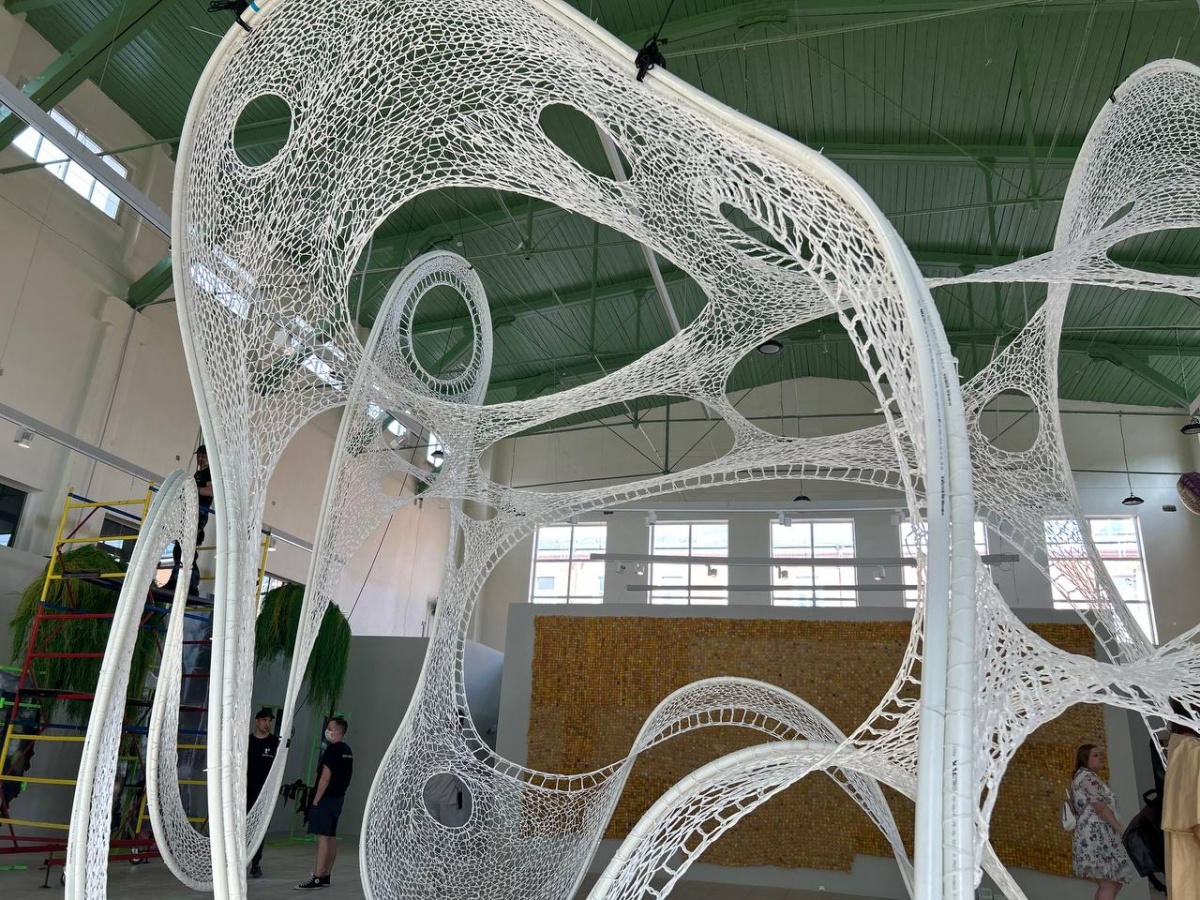 «Кожа Земли»: в Нижнем Новгороде проходит первая международная ЭкоБиеннале - фото 7