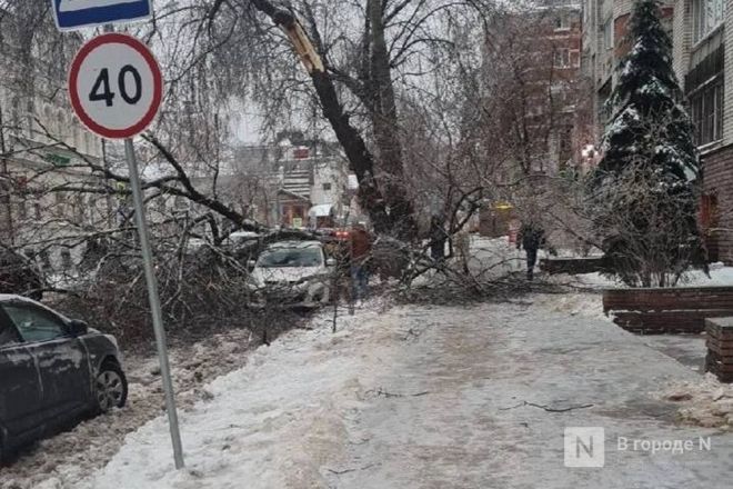 Побитые машины, вставшие трамваи, недовольные граждане: последствия ледяного дождя в Нижнем Новгороде - фото 3