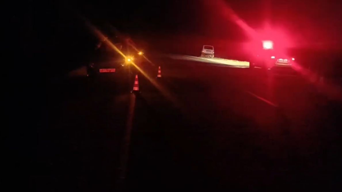 Водитель легковушки пострадал при наезде на лося в Нижегородской области - фото 1